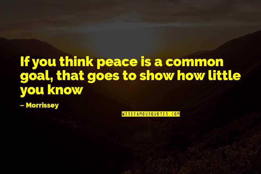 Think They Know It All Quotes By Morrissey: If you think peace is a common goal,