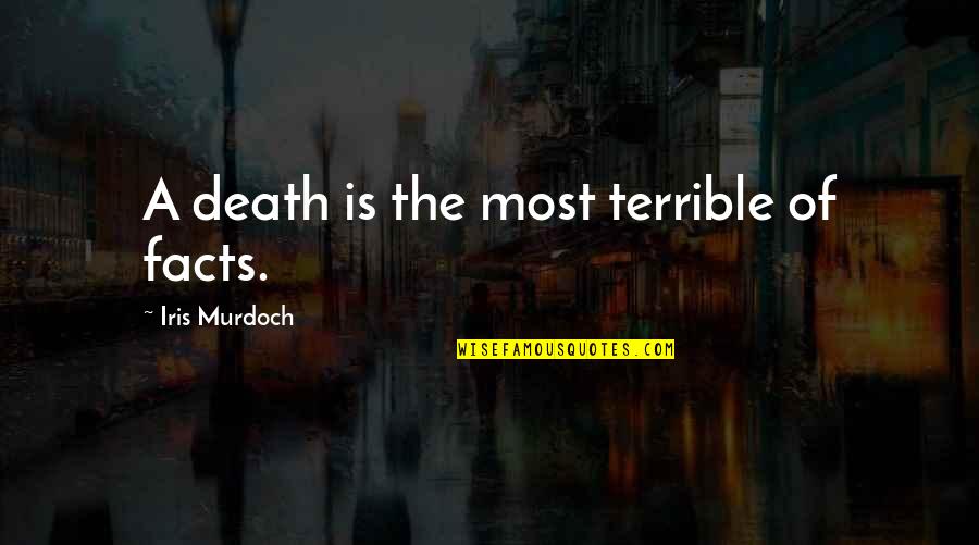 Think Toys Quotes By Iris Murdoch: A death is the most terrible of facts.