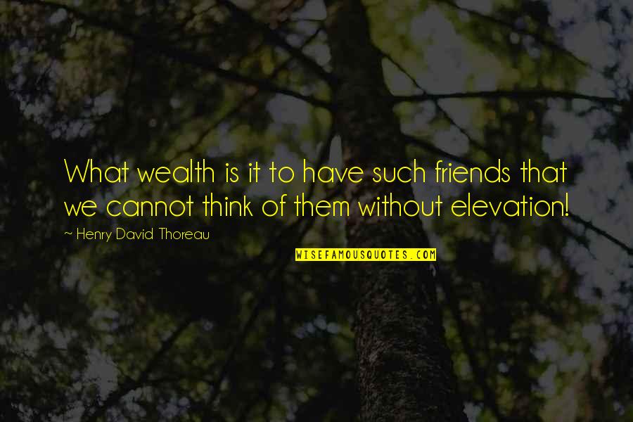 Thinking Of You Friendship Quotes By Henry David Thoreau: What wealth is it to have such friends