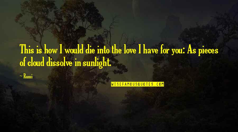 This Is For You Love Quotes By Rumi: This is how I would die into the