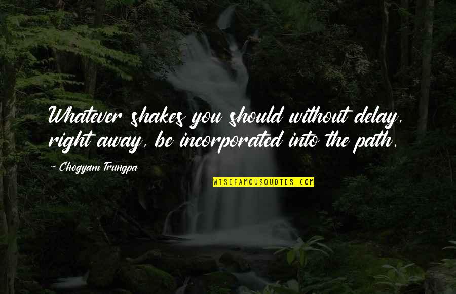 Thissen Biljart Quotes By Chogyam Trungpa: Whatever shakes you should without delay, right away,