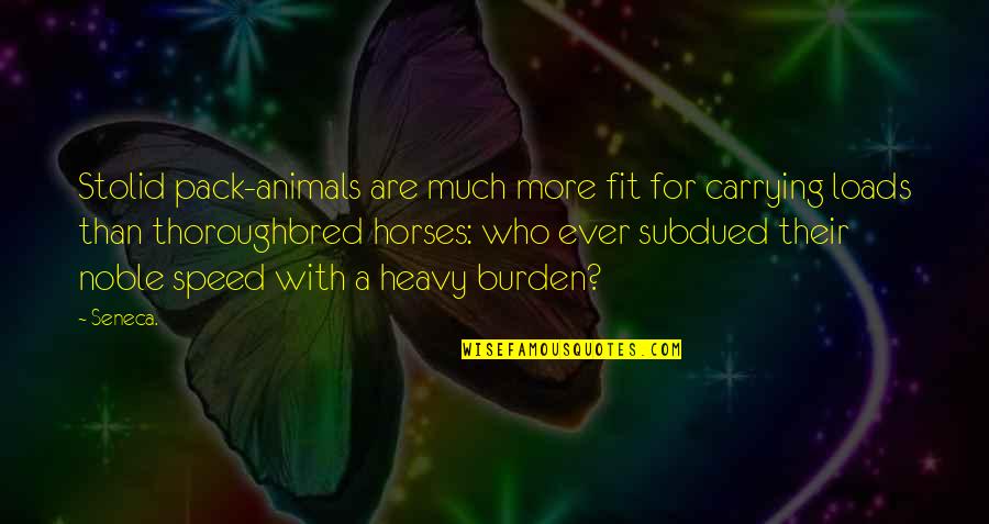 Thoroughbred Quotes By Seneca.: Stolid pack-animals are much more fit for carrying