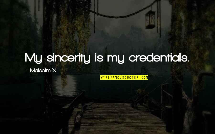 Throb Quotes By Malcolm X: My sincerity is my credentials.