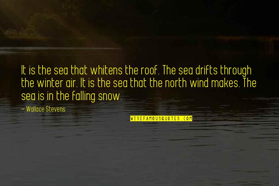 Through Rain Quotes By Wallace Stevens: It is the sea that whitens the roof.