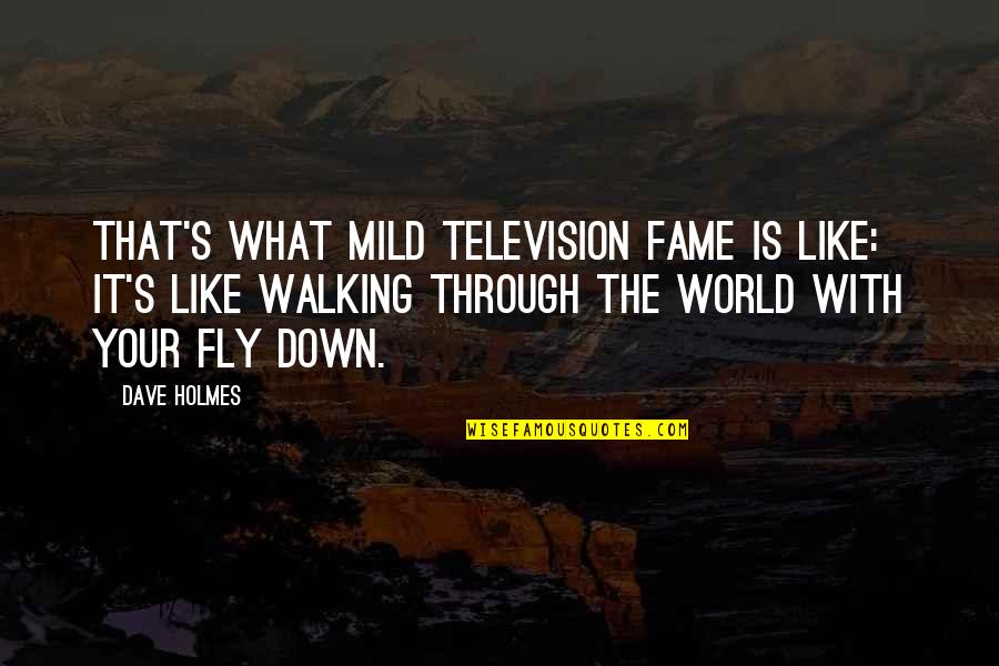 Through What Quotes By Dave Holmes: That's what mild television fame is like: it's