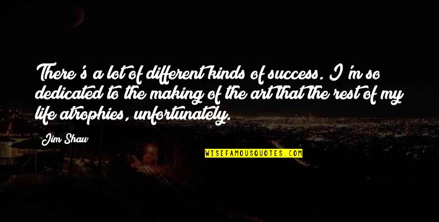 Thugged Out Quotes By Jim Shaw: There's a lot of different kinds of success.