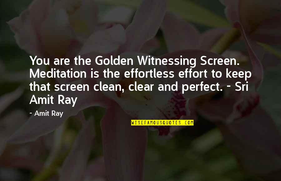 Thwack Solarwinds Quotes By Amit Ray: You are the Golden Witnessing Screen. Meditation is