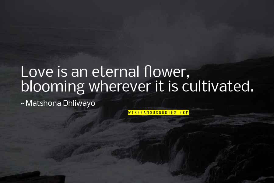 Tigana Santana Quotes By Matshona Dhliwayo: Love is an eternal flower, blooming wherever it