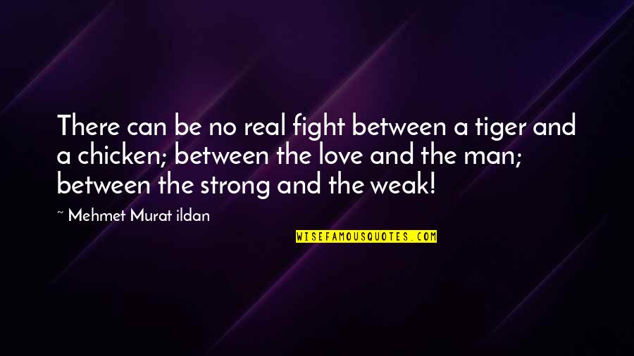 Tiger Man Quotes By Mehmet Murat Ildan: There can be no real fight between a