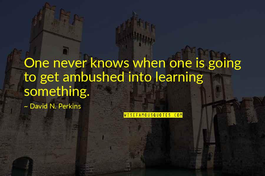 Tignini Custom Quotes By David N. Perkins: One never knows when one is going to