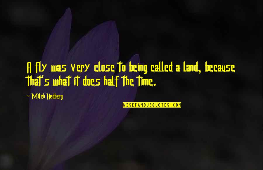 Time Does Fly Quotes By Mitch Hedberg: A fly was very close to being called