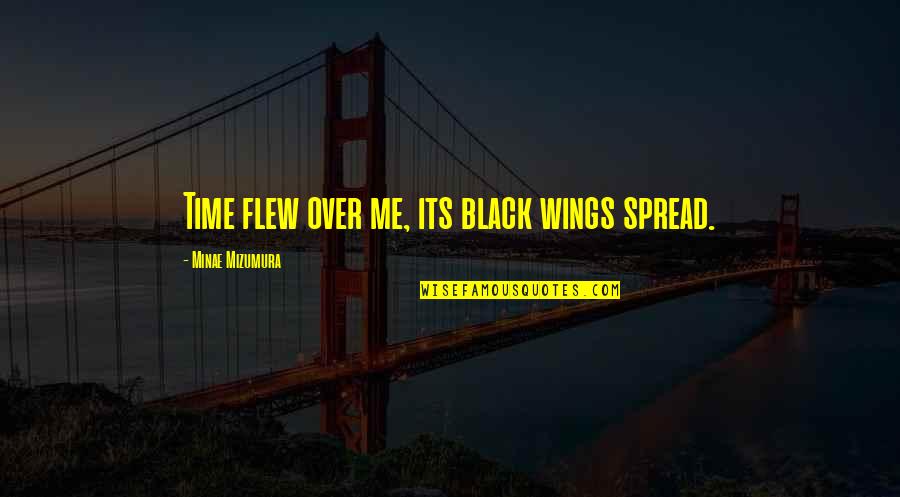 Time Flew By Quotes By Minae Mizumura: Time flew over me, its black wings spread.