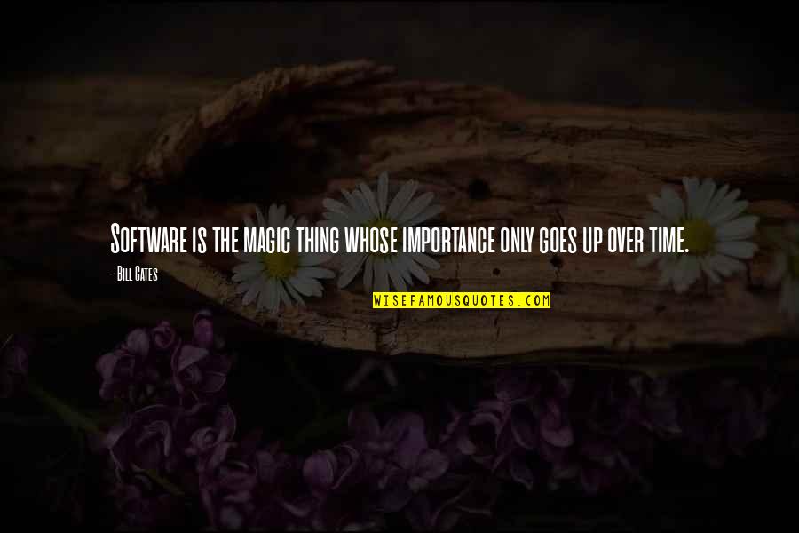 Time Importance Quotes By Bill Gates: Software is the magic thing whose importance only