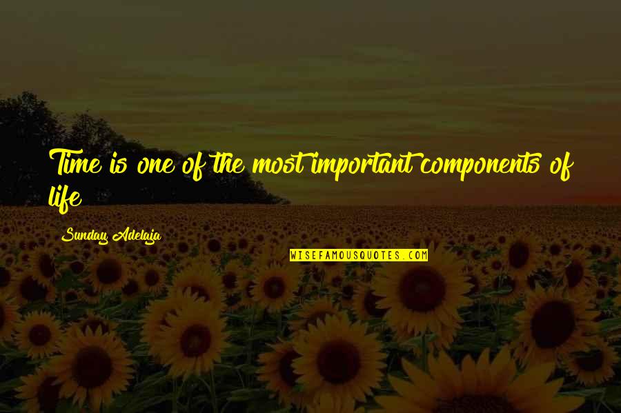 Time Importance Quotes By Sunday Adelaja: Time is one of the most important components