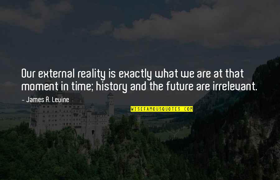 Time Is Irrelevant Quotes By James A. Levine: Our external reality is exactly what we are