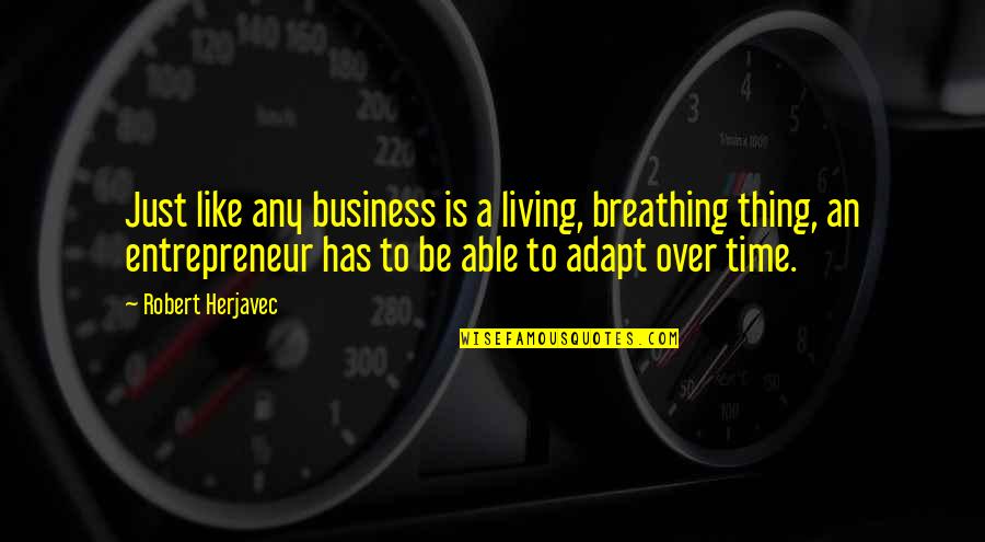 Time Like Quotes By Robert Herjavec: Just like any business is a living, breathing