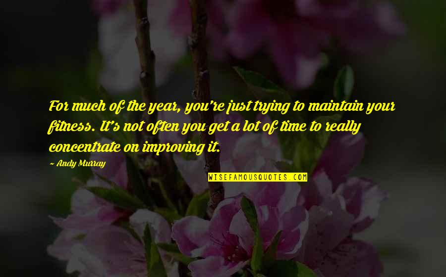 Time Of The Year Quotes By Andy Murray: For much of the year, you're just trying