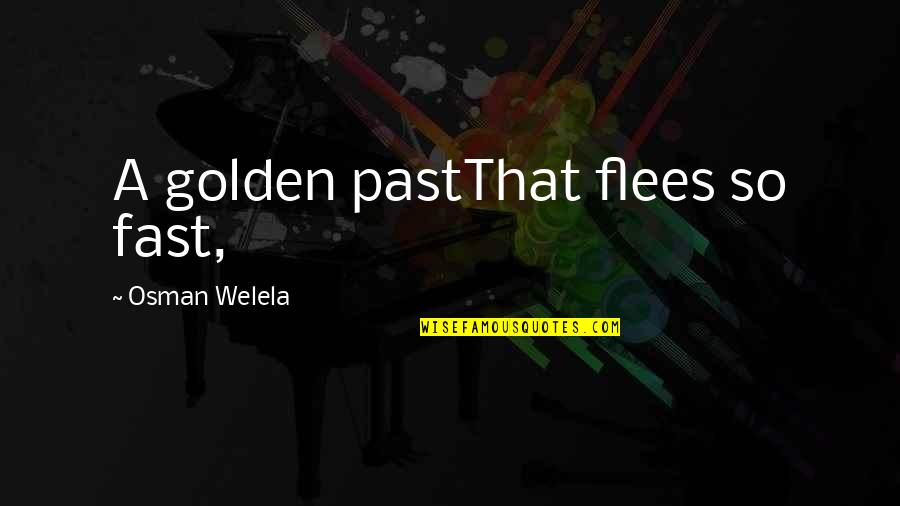 Time Past Fast Quotes By Osman Welela: A golden pastThat flees so fast,