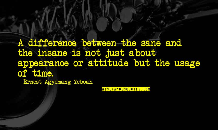 Time Usage Quotes By Ernest Agyemang Yeboah: A difference between the sane and the insane