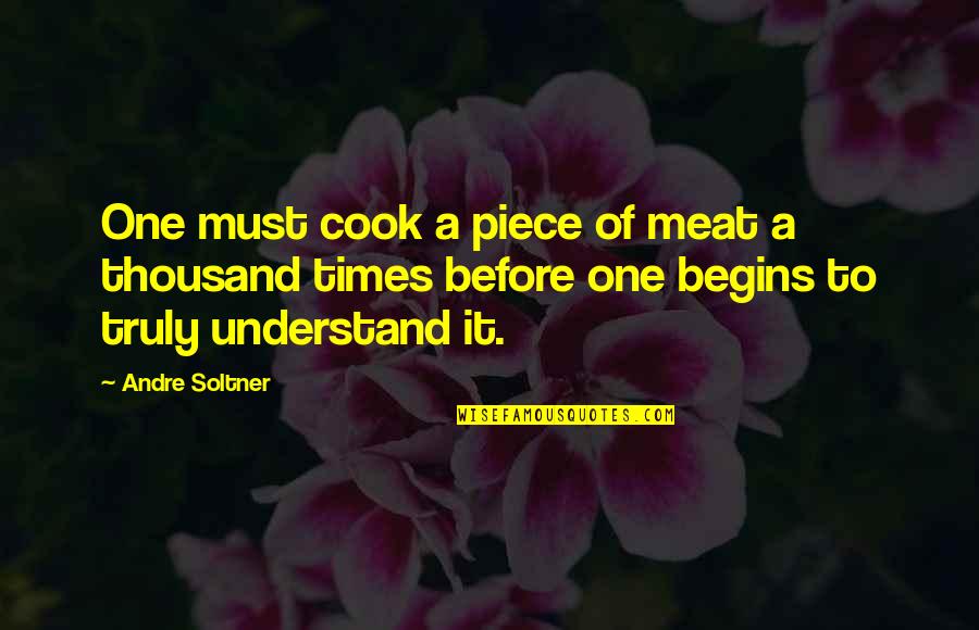 Times Before Quotes By Andre Soltner: One must cook a piece of meat a