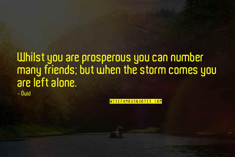 Tirta Gangga Quotes By Ovid: Whilst you are prosperous you can number many