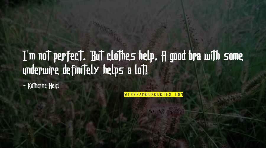 Tlaib Quotes By Katherine Heigl: I'm not perfect. But clothes help. A good