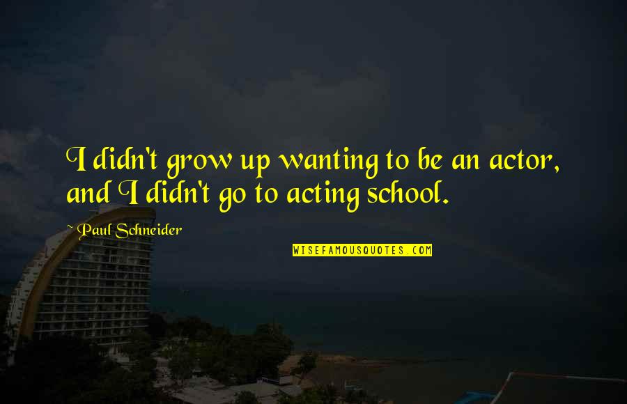 To Grow Up Quotes By Paul Schneider: I didn't grow up wanting to be an