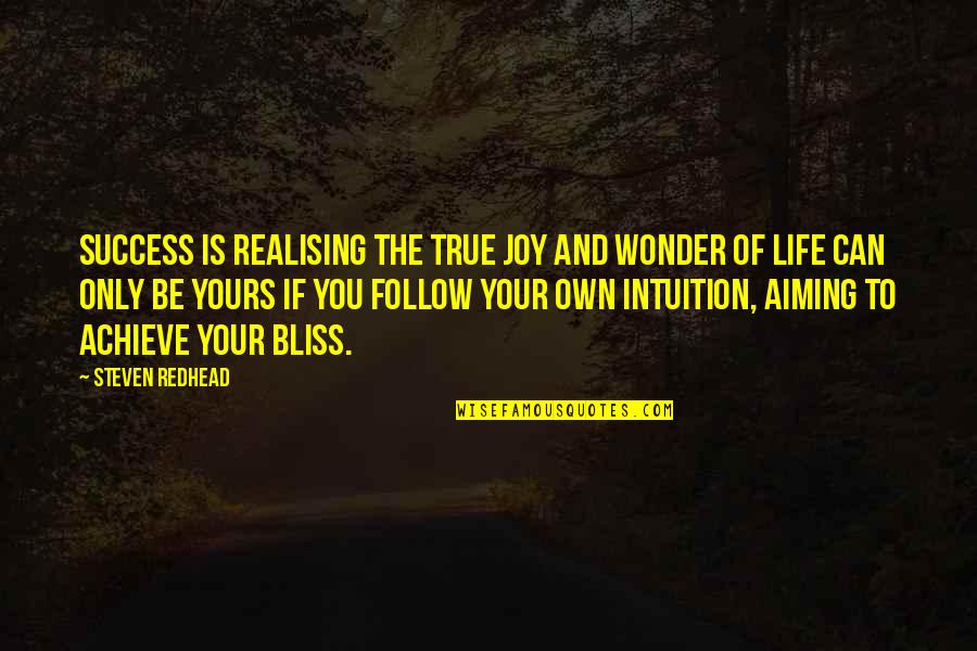 To The Wonder Quotes By Steven Redhead: Success is realising the true joy and wonder