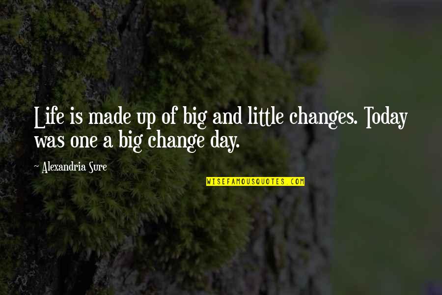 Today Is A Day Quotes By Alexandria Sure: Life is made up of big and little