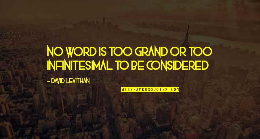 Todtenbuch Quotes By David Levithan: No word is too grand or too infinitesimal