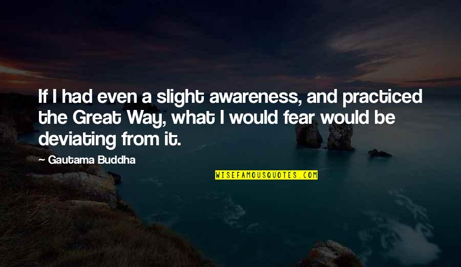 Tofield Today Quotes By Gautama Buddha: If I had even a slight awareness, and