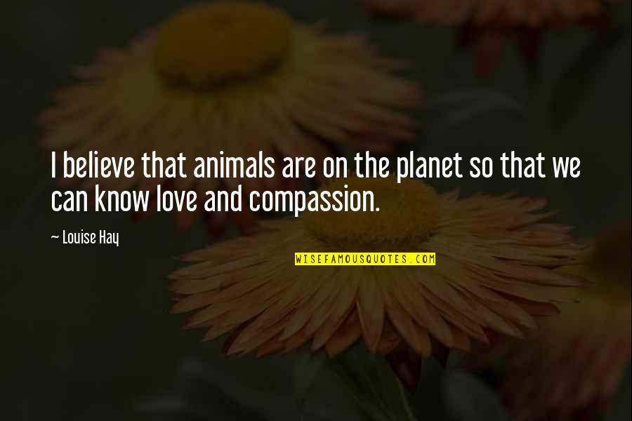 Tomcheck Hardware Quotes By Louise Hay: I believe that animals are on the planet