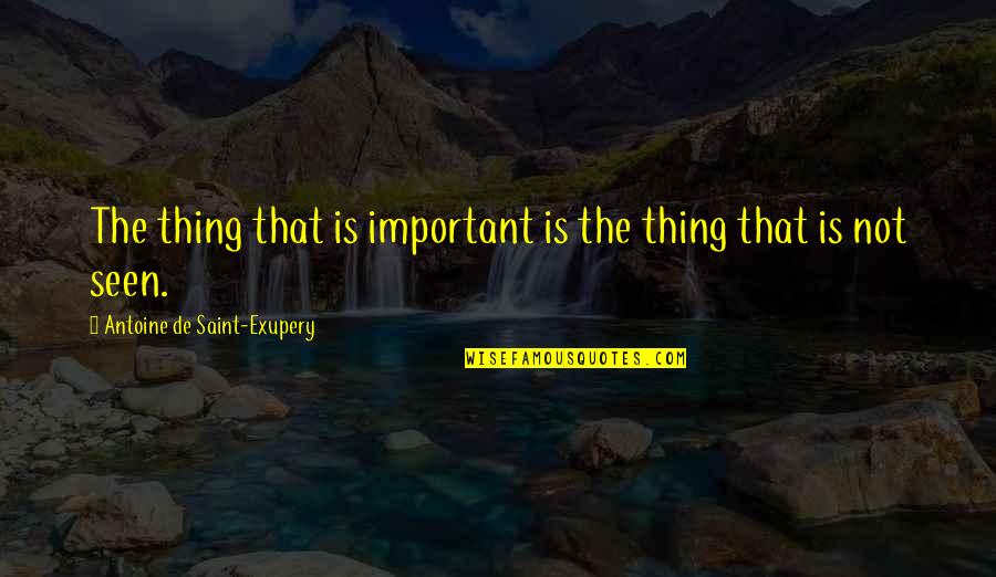 Tomomi Itano Quotes By Antoine De Saint-Exupery: The thing that is important is the thing