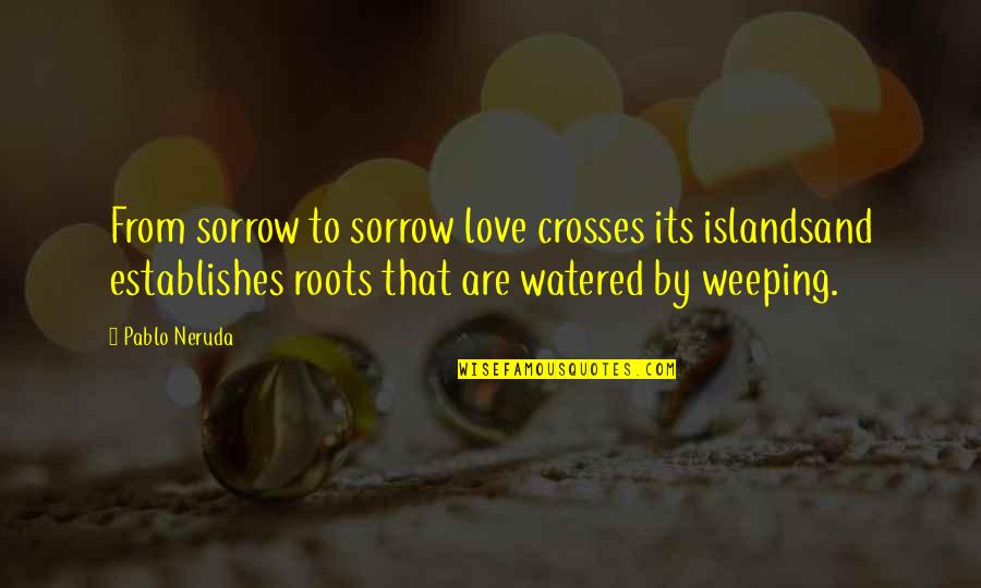 Tone Theta Quotes By Pablo Neruda: From sorrow to sorrow love crosses its islandsand