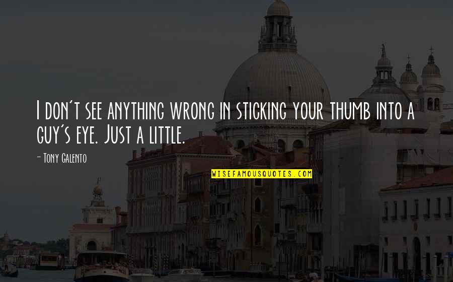 Tony Little Quotes By Tony Galento: I don't see anything wrong in sticking your