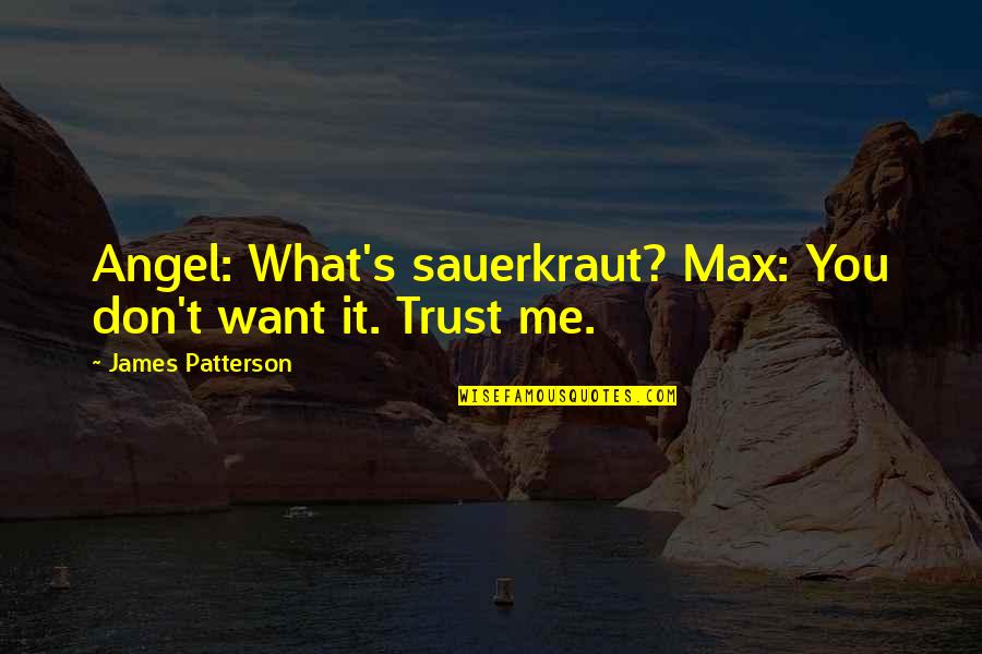 Tooby Socks Quotes By James Patterson: Angel: What's sauerkraut? Max: You don't want it.