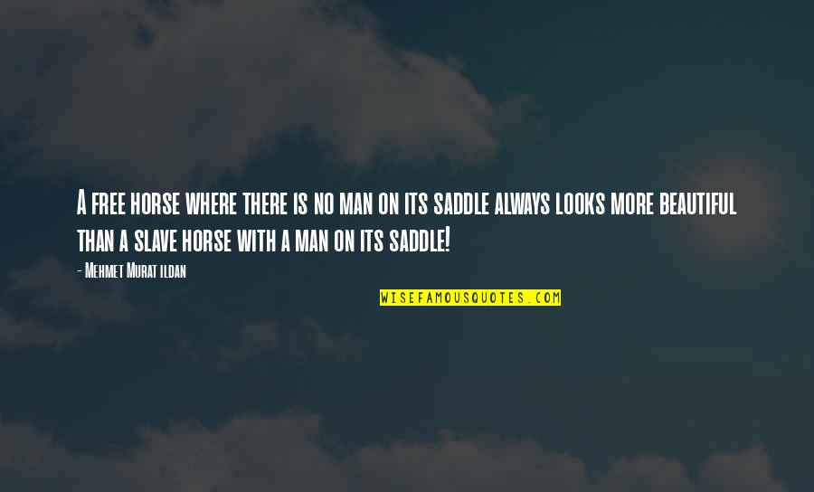 Tooled Quotes By Mehmet Murat Ildan: A free horse where there is no man