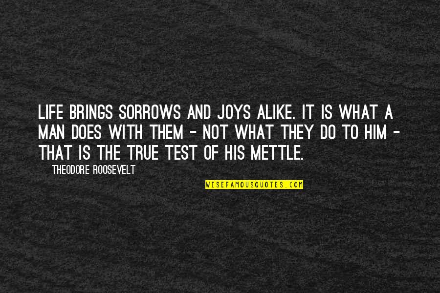 Toomre Q Quotes By Theodore Roosevelt: Life brings sorrows and joys alike. It is