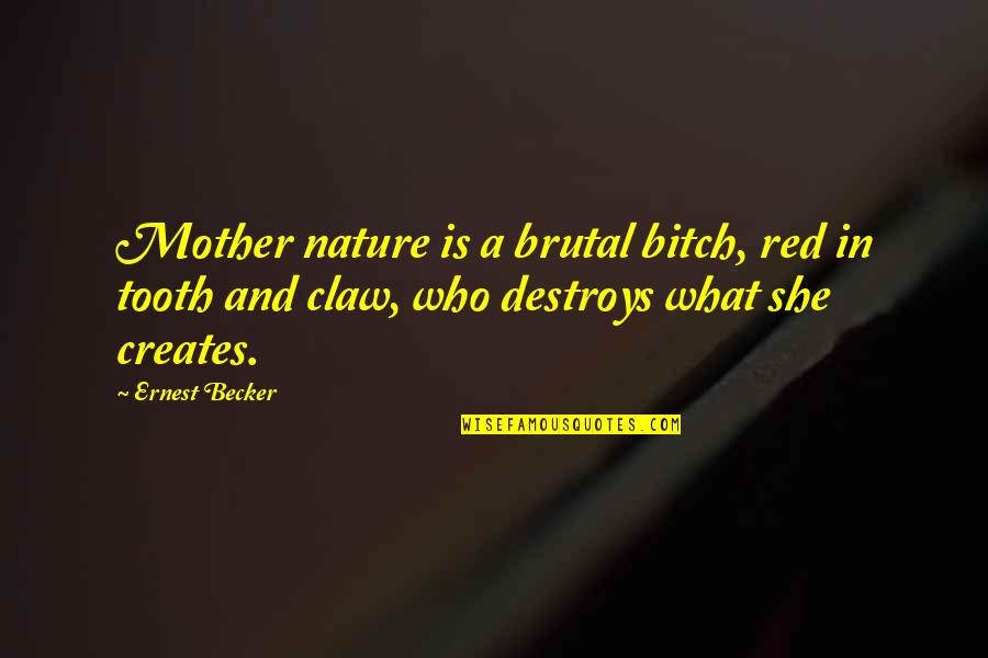 Tooth Quotes By Ernest Becker: Mother nature is a brutal bitch, red in