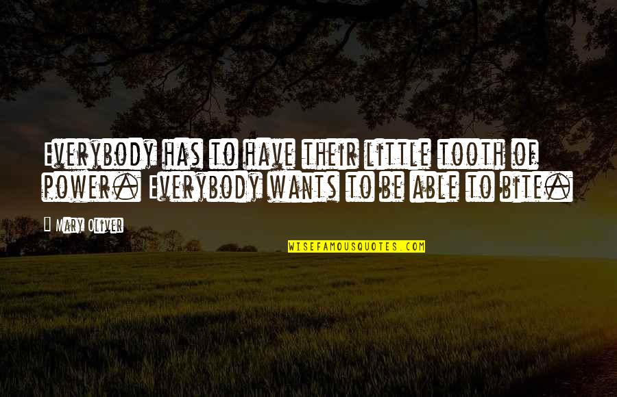 Tooth Quotes By Mary Oliver: Everybody has to have their little tooth of