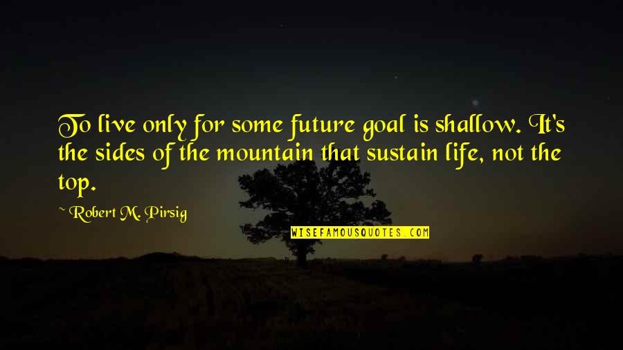 Top Mountain Quotes By Robert M. Pirsig: To live only for some future goal is