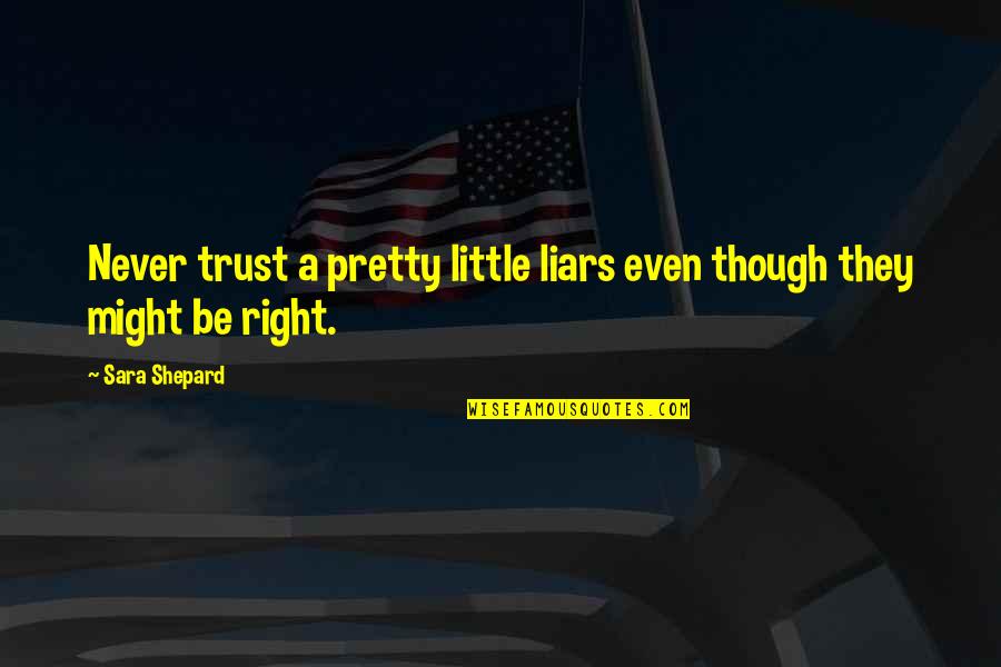 Top My Hero Academia Quotes By Sara Shepard: Never trust a pretty little liars even though