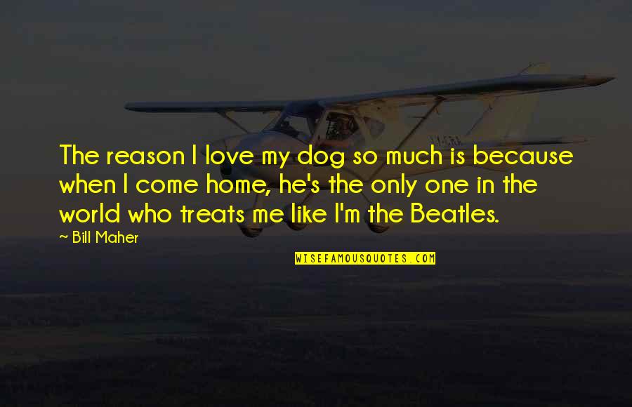 Tossan Firearms Quotes By Bill Maher: The reason I love my dog so much