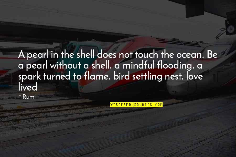 Touch Love Quotes By Rumi: A pearl in the shell does not touch