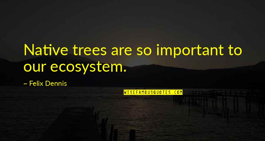 Tovio Quotes By Felix Dennis: Native trees are so important to our ecosystem.