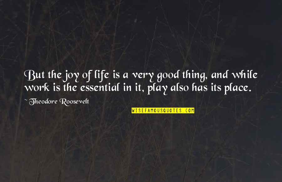 Trajectory Of Life Quotes By Theodore Roosevelt: But the joy of life is a very