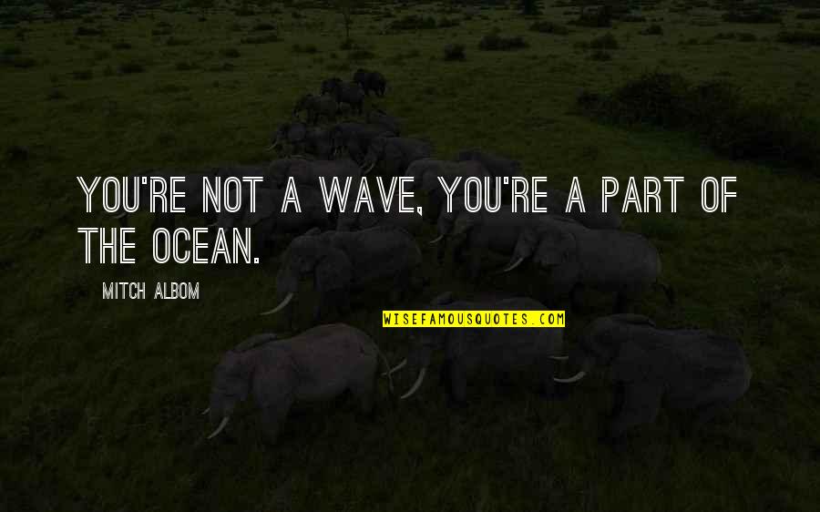 Tranqdarts Quotes By Mitch Albom: You're not a wave, you're a part of