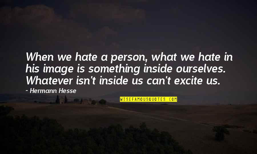 Transportadoras Quotes By Hermann Hesse: When we hate a person, what we hate