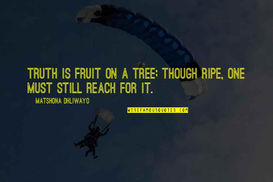 Tree Quotes And Quotes By Matshona Dhliwayo: Truth is fruit on a tree; though ripe,