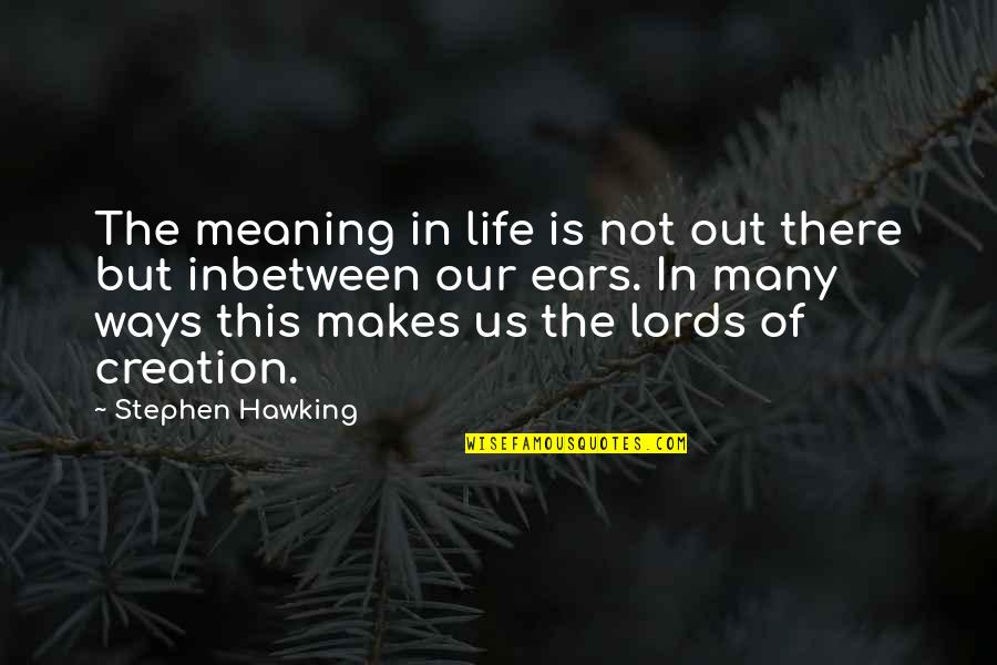 Trees And Friendship Quotes By Stephen Hawking: The meaning in life is not out there